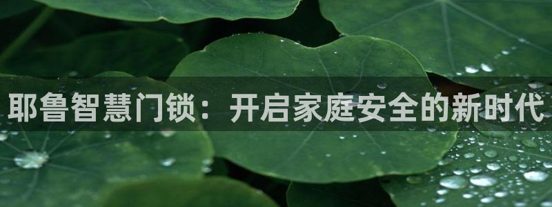 开丰娱乐平台官网网址：耶鲁智慧门锁：开启家庭安全的新时代