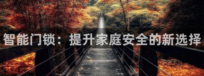 开丰娱乐官方app：智能门锁：提升家庭安全的新选择