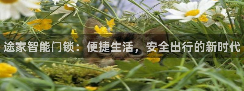 开丰娱乐官网平台下载：途家智能门锁：便捷生活，安全出行的新时