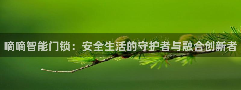 开丰娱乐网站：嘀嘀智能门锁：安全生活的守护者与融合创新者