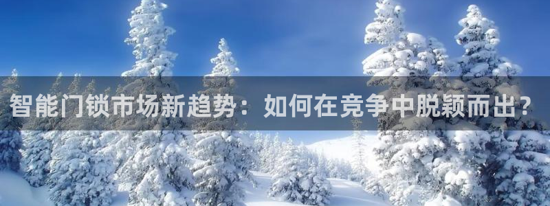 开丰娱乐天7O667：智能门锁市场新趋势：如何在竞争中脱颖而