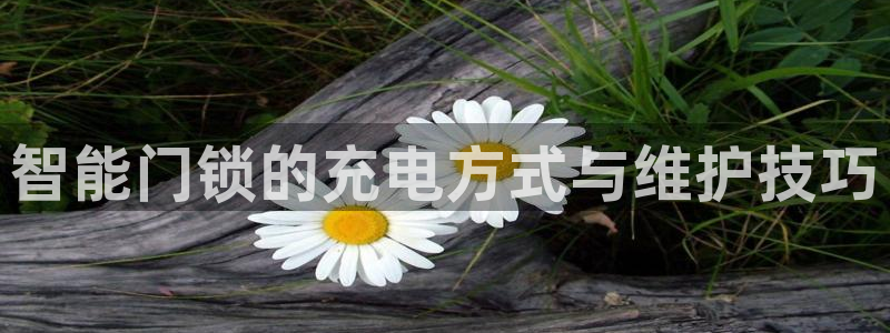 开丰娱乐后7O667：智能门锁的充电方式与维护技巧