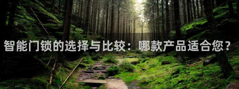 开丰娱乐予 7O935：智能门锁的选择与比较：哪款产品适合您
