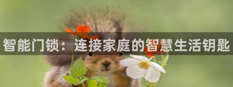 开丰娱乐千67五壹叁八：智能门锁：连接家庭的智慧生活钥匙