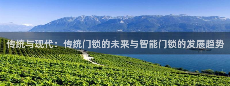 开丰娱乐官网平台登录：传统与现代：传统门锁的未来与智能门锁的