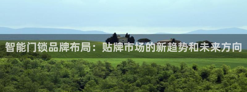 开丰娱乐2登录：智能门锁品牌布局：贴牌市场的新趋势和未来方向