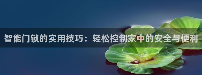 开丰娱乐官网招聘：智能门锁的实用技巧：轻松控制家中的安全与便