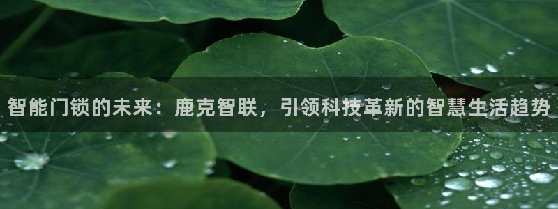 开丰娱乐官网最新消息：智能门锁的未来：鹿克智联，引领科技革新