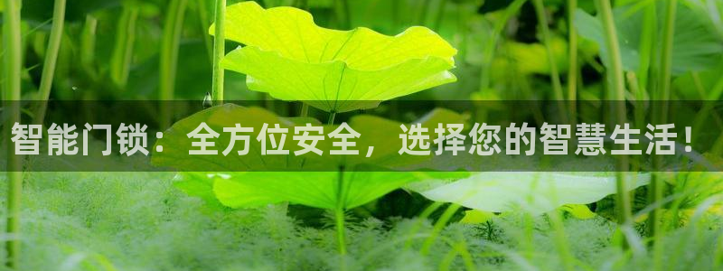 开丰娱乐注册资金多少：智能门锁：全方位安全，选择您的智慧生活