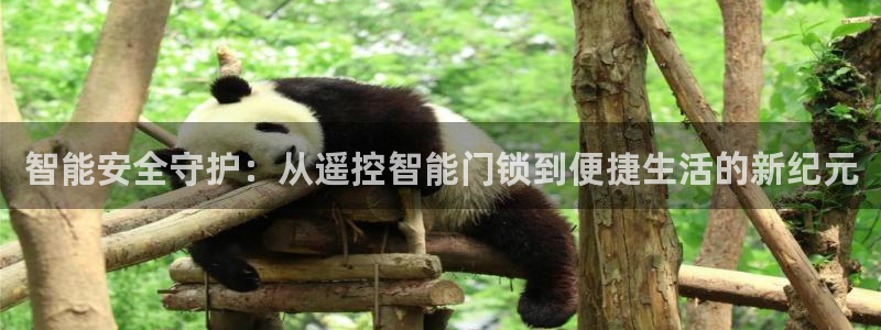 开丰娱乐平台：智能安全守护：从遥控智能门锁到便捷生活的新纪元