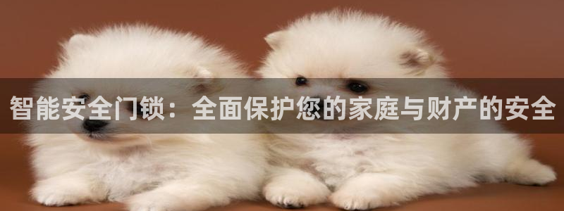 开丰娱乐联系q徽22212：智能安全门锁：全面保护您的家庭与