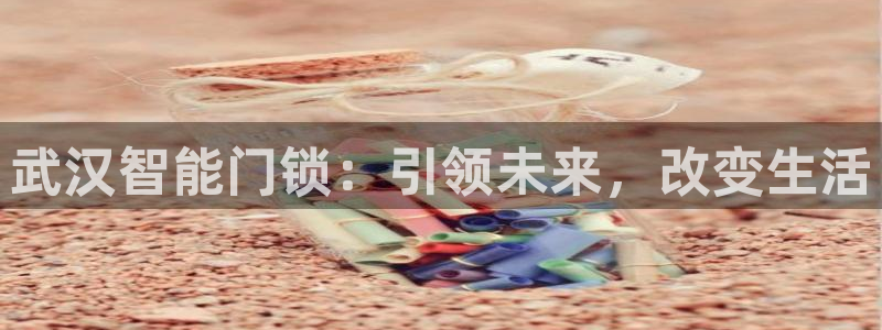 开丰娱乐更多平台：武汉智能门锁：引领未来，改变生活