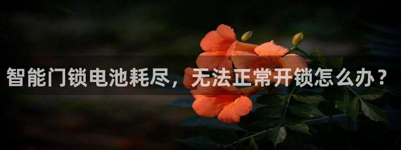 开丰娱乐官网平台登录：智能门锁电池耗尽，无法正常开锁怎么办？