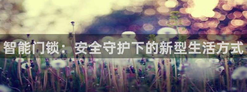 开丰娱乐 赢咖一：智能门锁：安全守护下的新型生活方式