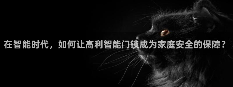 如何注册开丰娱乐账号：在智能时代，如何让高利智能门锁成为家庭