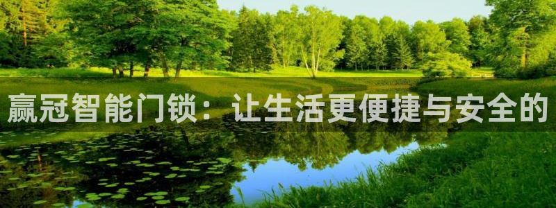 开丰娱乐科技：赢冠智能门锁：让生活更便捷与安全的