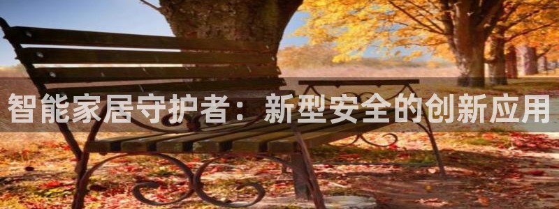 开丰娱乐日：智能家居守护者：新型安全的创新应用