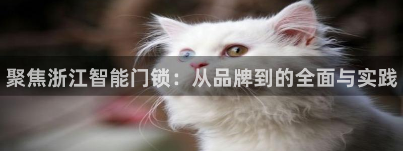 开丰娱乐怎么开转点：聚焦浙江智能门锁：从品牌到的全面与实践