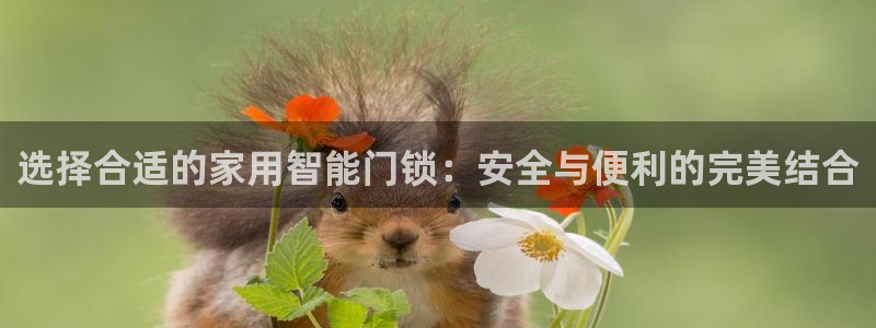 开丰娱乐线路：选择合适的家用智能门锁：安全与便利的完美结合