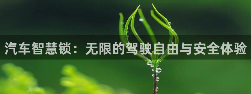 开丰娱乐主管家去判官333OO：汽车智慧锁：无限的驾驶自由与