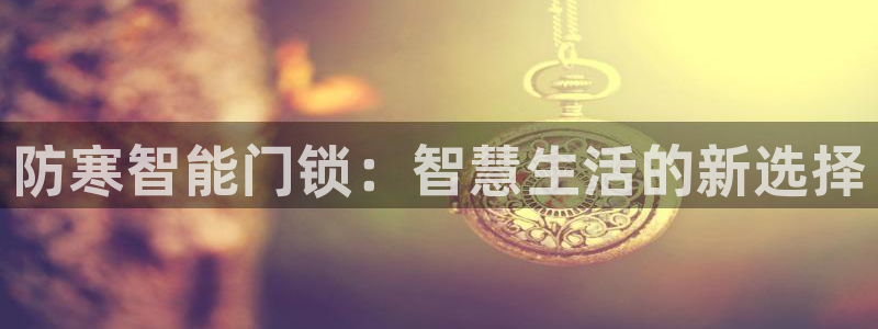 开丰娱乐主管：防寒智能门锁：智慧生活的新选择