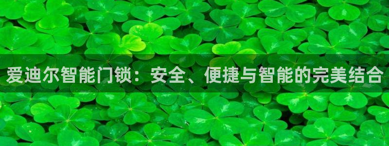 开丰娱乐app：爱迪尔智能门锁：安全、便捷与智能的完美结合
