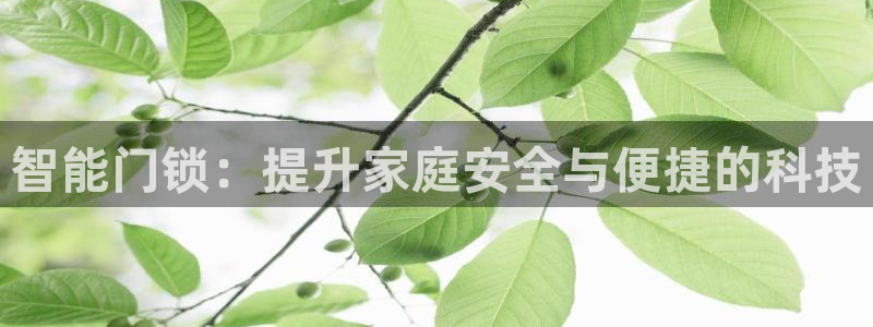 开丰娱乐会员中心：智能门锁：提升家庭安全与便捷的科技
