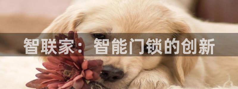 开丰娱乐登录平台：智联家：智能门锁的创新