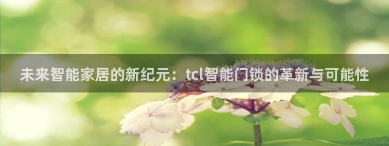 开丰娱乐注册系究耍333OO：未来智能家居的新纪元：tcl智