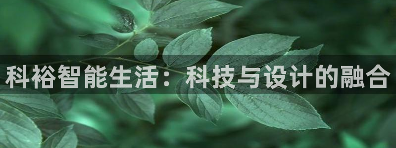 开丰娱乐趣 7O935：科裕智能生活：科技与设计的融合