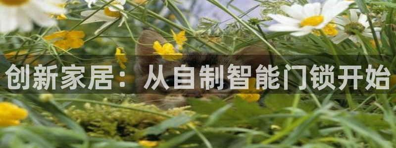 开丰娱乐登入地址：创新家居：从自制智能门锁开始