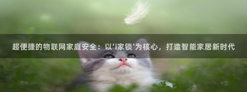 开丰娱乐上：超便捷的物联网家庭安全：以‘i家锁’为核心，打造