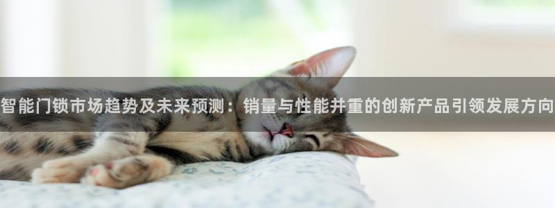开丰娱乐靠谱吗：智能门锁市场趋势及未来预测：销量与性能并重的