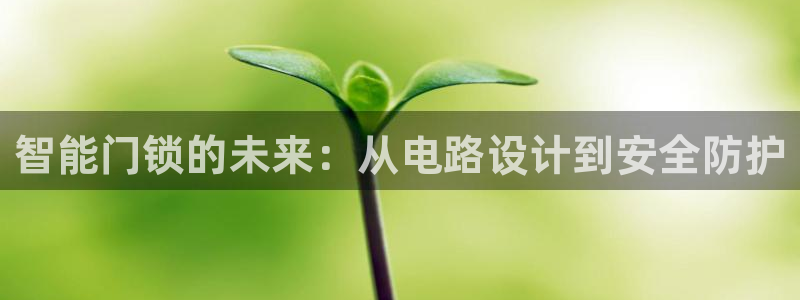开丰娱乐登陆：智能门锁的未来：从电路设计到安全防护