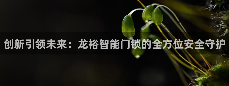 开丰娱乐注册系究耍333OO：创新引领未来：龙裕智能门锁的全