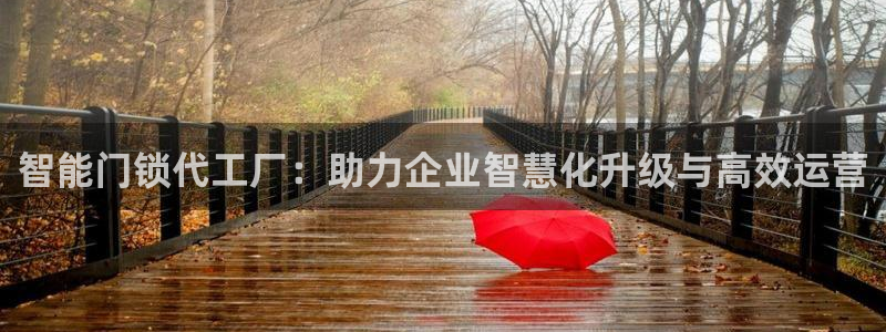 开丰娱乐网官网注册入口：智能门锁代工厂：助力企业智慧化升级与