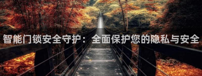 开丰娱乐日7O667：智能门锁安全守护：全面保护您的隐私与安