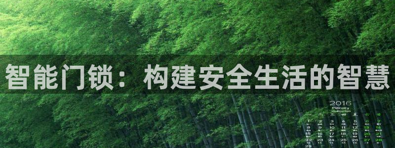 开丰娱乐登入地址是什么：智能门锁：构建安全生活的智慧