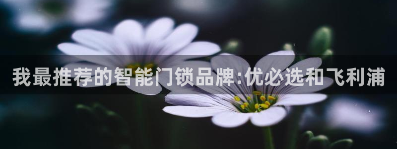 开丰娱乐平台登录网址：我最推荐的智能门锁品牌:优必选和飞利浦