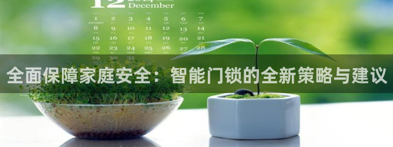 开丰娱乐若七九九：全面保障家庭安全：智能门锁的全新策略与建议