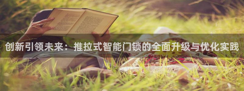 开丰娱乐乙833_43：创新引领未来：推拉式智能门锁的全面升