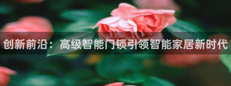 开丰娱乐乙833_43：创新前沿：高级智能门锁引领智能家居新