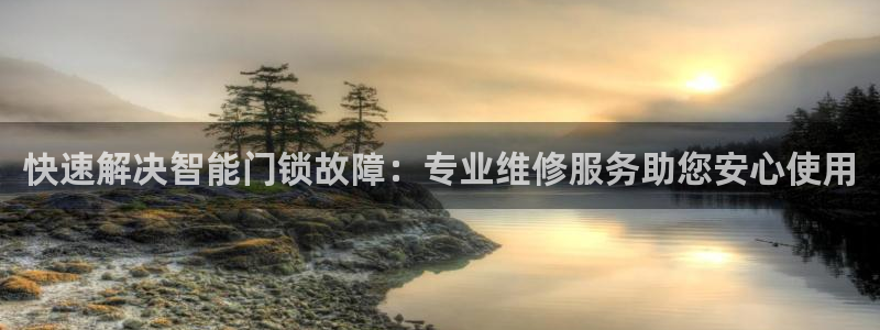 开丰娱乐趣 7O935：快速解决智能门锁故障：专业维修服务助