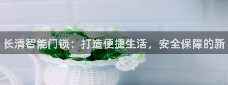 开丰娱乐网站官网下载：长清智能门锁：打造便捷生活，安全保障的
