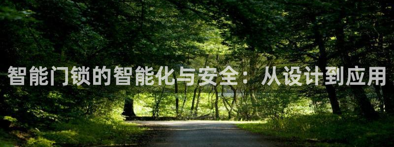 开丰娱乐左：智能门锁的智能化与安全：从设计到应用