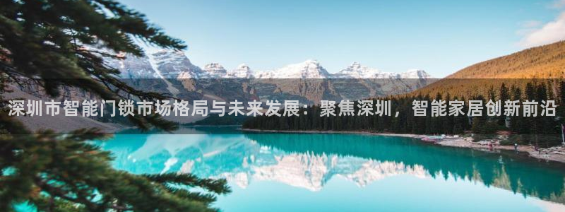 开丰娱乐注册系究耍333OO：深圳市智能门锁市场格局与未来发