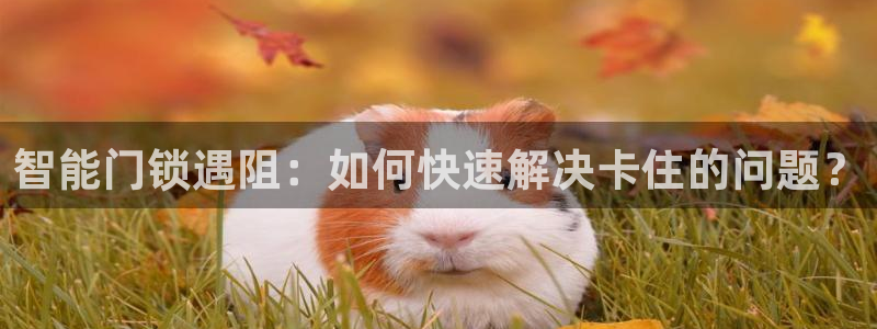 开丰娱乐网址：智能门锁遇阻：如何快速解决卡住的问题？