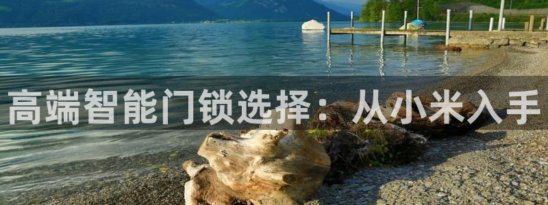 开丰娱乐千67五壹叁八：高端智能门锁选择：从小米入手