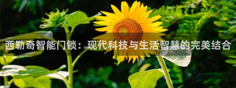 开丰娱乐67 5138：西勒奇智能门锁：现代科技与生活智慧的