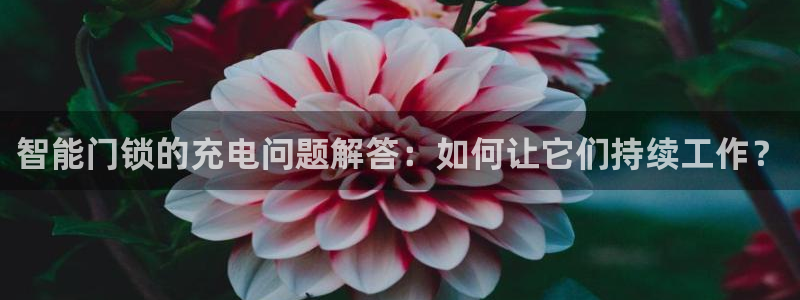 开丰娱乐于六七五一38